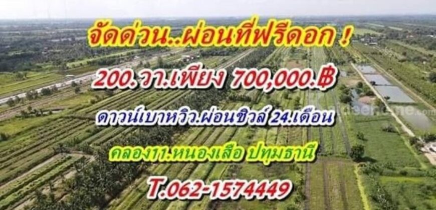 จัดด่วนผ่อนที่ฟรีดอกที่ดินคลอง11หนองเสือราคาเบาผ่อนสบาย. T.062-1574449
