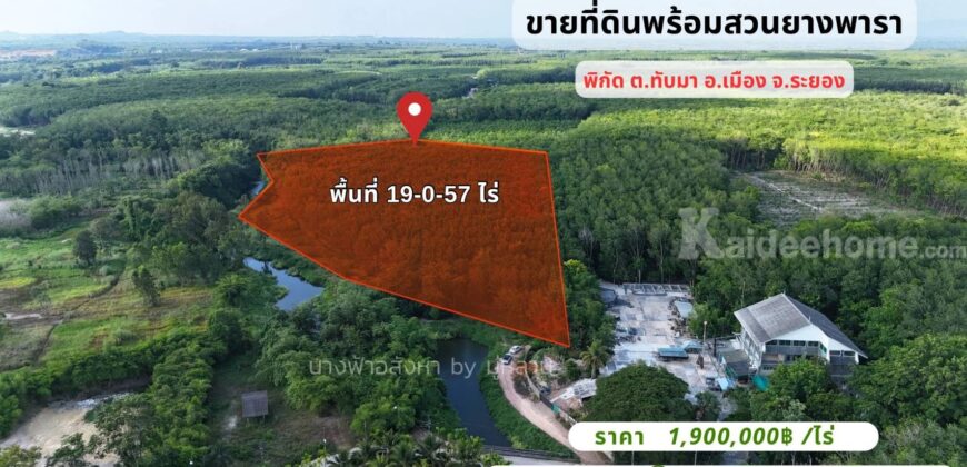 ขายที่ดินพร้อมสวนยาง ทับมา อ.เมือง จ.ระยอง 19-0-57 ไร่ ขายที่ดินพร้อมสวนยาง ทับมา อ.เมือง จ.ระยอง 19-0-57 ไร่
