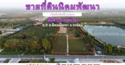 ขายที่ดิน ซ. 9 -นิคมพัฒนา-ระยอง 23-3-86 ตรว.พื้นที่ม่วงลาย