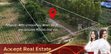 ที่ดินใกล้ทะเล ทำเลดีทำ นาจอมเทียน 52 เหมาะทำธุรกิจโรงแรมและบ้านพักตากอากาศ