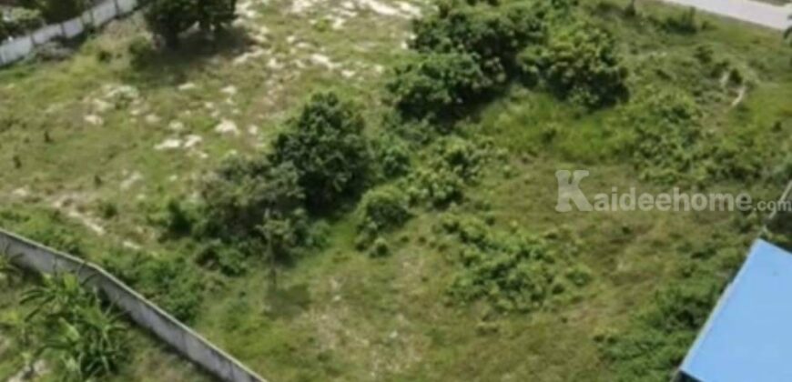 ที่ดินสวยบรรยากาศดี 2-1-42 ตรว. อ.บ้านฉาง จ.ระยอง มีเพื่อนบ้าน