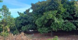 ขายที่ดินพร้อมบ้าน และสวนผลไม้ ร่มรื่นท่ามกลางธรรมชาติ ต.บ้านแลง ระยอง ขายที่ดินพร้อมบ้าน และสวนผลไม้ ร่มรื่นท่ามกลางธรรมชาติ ต.บ้านแลง ระยอง