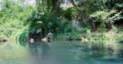 ขายที่ดินติดน้ำ เขาใหญ่ 2.5 ไร่ ที่ติดลำตะคองธรรมชาติสวยมาก อยู่บ้านท่าช้าง หมูสี ใกล้น้ำผุด ใกล้ถนนธนะรัชต์ คีรีมายา ติดถนนลาดยางเส้นหลัก เหมาะทำบ้านพักตากอากาศ รีสอร์ทริมน้ำ 087-9074045