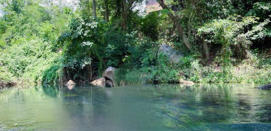 ขายที่ดินติดน้ำ เขาใหญ่ 2.5 ไร่ ที่ติดลำตะคองธรรมชาติสวยมาก อยู่บ้านท่าช้าง หมูสี ใกล้น้ำผุด ใกล้ถนนธนะรัชต์ คีรีมายา ติดถนนลาดยางเส้นหลัก เหมาะทำบ้านพักตากอากาศ รีสอร์ทริมน้ำ 087-9074045