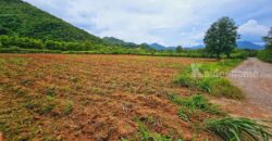 ขายที่ดินเขาใหญ่ 1-2 ไร่ เขาวง หนองน้ำแดง ปากช่อง ใกล้ธนะรัชต์-กุดคล้า ที่สวยโล่งโปร่ง วิวเขาล้อมรอบสวยมาก ทำเลดีเข้าออกได้หลายทาง ใกล้ศูนย์ผู้นำซีพี มีเพื่อนบ้าน ไม่เปลี่ยว ขายถูก 087-9074045