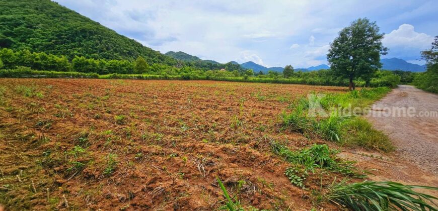 ขายที่ดินเขาใหญ่ 1-2 ไร่ เขาวง หนองน้ำแดง ปากช่อง ใกล้ธนะรัชต์-กุดคล้า ที่สวยโล่งโปร่ง วิวเขาล้อมรอบสวยมาก ทำเลดีเข้าออกได้หลายทาง ใกล้ศูนย์ผู้นำซีพี มีเพื่อนบ้าน ไม่เปลี่ยว ขายถูก 087-9074045