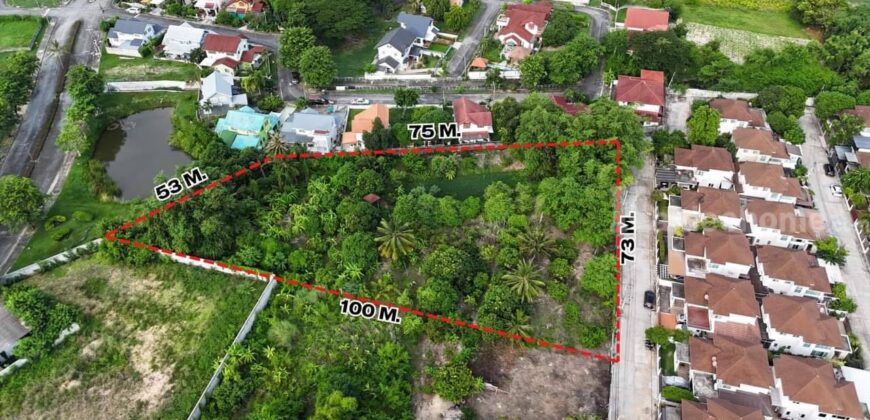 ขายที่ดินเปล่า ที่ดินสวยใจกลางเมือง บ้านฉาง ระยอง