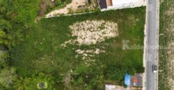 ที่ดินสวยระดับ 5 A บ้านฉาง-ระยอง 2-1-56.4 ตรว