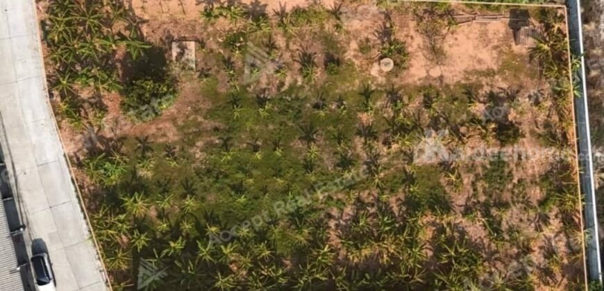 ขายที่ดิน ที่ดินงาม ทำเลดี เดินทางสะดวกสบาย ใจกลางเมืองระยอง ขายที่ดิน ที่ดินงาม ทำเลดี เดินทางสะดวกสบาย ใจกลางเมืองระยอง