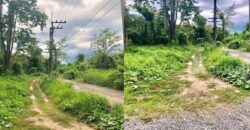 ที่ดินให้เช่าใกล้ถนนใหญ่ 320 ตรว. ทางไปน้ำตกสาริกา อำเภอเมือง นครนายก