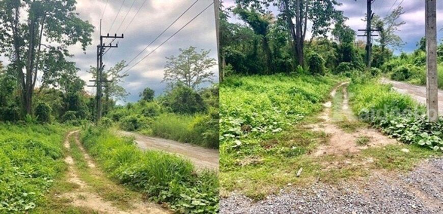 ที่ดินให้เช่าใกล้ถนนใหญ่ 320 ตรว. ทางไปน้ำตกสาริกา อำเภอเมือง นครนายก