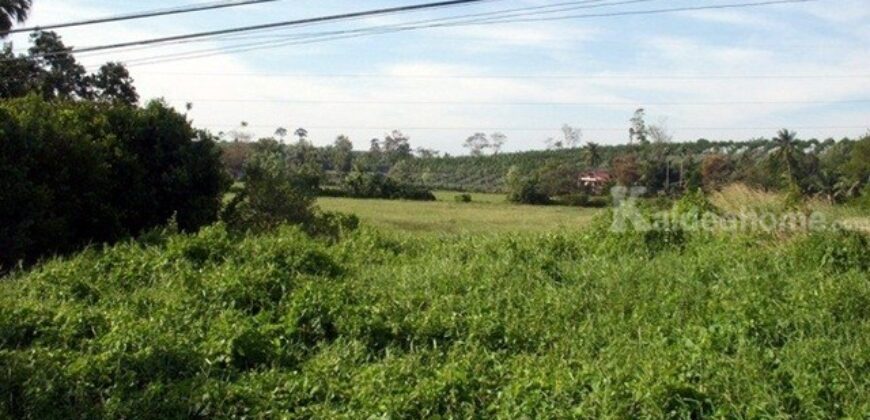 ขาย ที่ดิน ติดถนนสุขุมวิท 11 ไร่ ตำบล วังกระแจะ อำเภอเมืองตราด