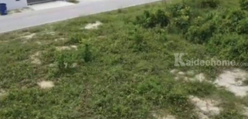 ที่ดินสวยบรรยากาศดี 2-1-42 ตรว. อ.บ้านฉาง จ.ระยอง มีเพื่อนบ้าน