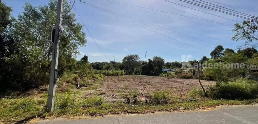 ขายที่ดิน ทำเลดี เนินกระปรอก-บ้านฉาง 2-0-57.6 ตรว.