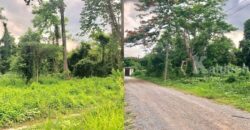 ที่ดินให้เช่าใกล้ถนนใหญ่ 320 ตรว. ทางไปน้ำตกสาริกา อำเภอเมือง นครนายก