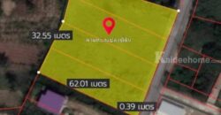 ที่ดินสวยบรรยากาศดี 2-1-42 ตรว. อ.บ้านฉาง จ.ระยอง มีเพื่อนบ้าน