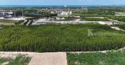 ขายที่ดินสวย ทำเลงาม เหมาะทำโรงงานพิกัด เนินกะปรอก-บ้านฉาง