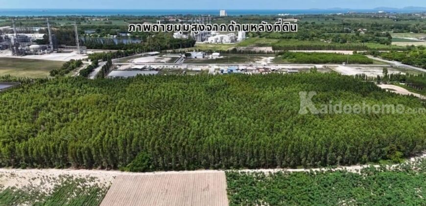 ขายที่ดินสวย ทำเลงาม เหมาะทำโรงงานพิกัด เนินกะปรอก-บ้านฉาง