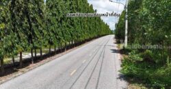 ขายที่ดินสวย ทำเลงาม เหมาะทำโรงงานพิกัด เนินกะปรอก-บ้านฉาง