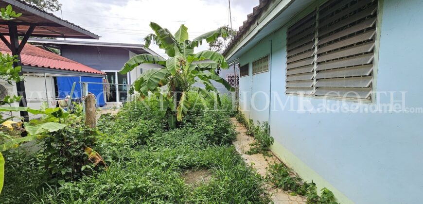 บ้านเดี่ยวชั้นเดียว วนาสวรรค์ เขาใหญ่ – ปากช่อง