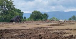 ขายที่เขาใหญ่ หมูสี 18 ไร่ เส้นคลองดินดำ คลองปูน ปากช่อง วิวเขาใหญ่สวยมาก ใกล้ Toscana ใกล้เส้น 3052 ที่สูง แปลงสวย เทควิวเขาชัดมาก ใกล้ร้านอาหาร ที่ท่องเที่ยวมากมาย 087-9074045