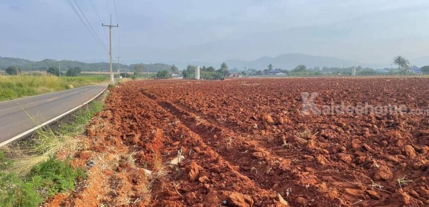 ขายที่ดินเขาใหญ่ หนองสาหร่าย เส้น2235 หนองช้างตาย วังไทร 5-10 ไร่ ปากช่อง ติดถนนลาดยางทางไป my ozone เดินทางสะดวก วิวเขาสวย บรรยากาศดี ไม่เปลี่ยว เหมาะทำบ้านสวนวัยเกษียณ 087-9074045