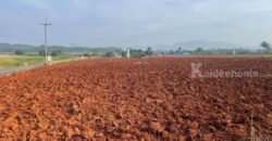 ขายที่ดินเขาใหญ่ หนองสาหร่าย เส้น2235 หนองช้างตาย วังไทร 5-10 ไร่ ปากช่อง ติดถนนลาดยางทางไป my ozone เดินทางสะดวก วิวเขาสวย บรรยากาศดี ไม่เปลี่ยว เหมาะทำบ้านสวนวัยเกษียณ 087-9074045