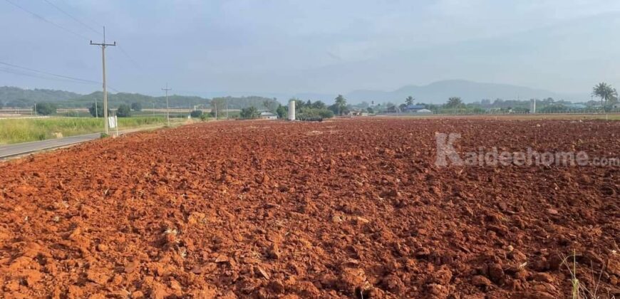 ขายที่ดินเขาใหญ่ หนองสาหร่าย เส้น2235 หนองช้างตาย วังไทร 5-10 ไร่ ปากช่อง ติดถนนลาดยางทางไป my ozone เดินทางสะดวก วิวเขาสวย บรรยากาศดี ไม่เปลี่ยว เหมาะทำบ้านสวนวัยเกษียณ 087-9074045