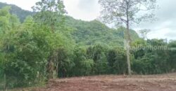 ขายที่ดินเขาใหญ่ หมูสี บ้านเหวปลากั้ง 4 ไร่ ที่สวย วิวเขาสวยมาก ขายถูกมาก อยู่เส้นกุดคล้าผ่านศึก ช่วงใกล้ธนะรัชต์ ใกล้สนามกลอฟ์ เขาใหญ่คันทรี่คลับ ทำเลดีมาก แปลงสวยหายาก 087-9074045