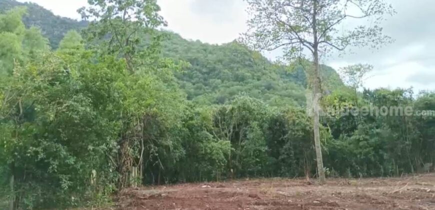 ขายที่ดินเขาใหญ่ หมูสี บ้านเหวปลากั้ง 4 ไร่ ที่สวย วิวเขาสวยมาก ขายถูกมาก อยู่เส้นกุดคล้าผ่านศึก ช่วงใกล้ธนะรัชต์ ใกล้สนามกลอฟ์ เขาใหญ่คันทรี่คลับ ทำเลดีมาก แปลงสวยหายาก 087-9074045