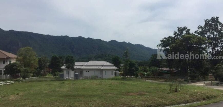 ขายที่เขาใหญ่ ใกล้เขาอุทยาน 332 ตร.ว วิวเขาสวยมาก ในโครงการภูภัทรา พญาเย็น เส้นกุดคล้าผ่านศึก ปากช่อง ที่สวยขายถูกมาก ทางไปพีบีวัลเลย์ ภิรมณ์คาเฟ่ ไร่องุ่นกรานมองเต้ 087-9074045