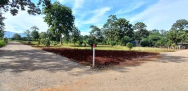 ขายที่หมูสี เขาใหญ่ 1 ไร่ 2 ไร่ 10 ไร่ ปากช่อง นครราชสีมา ที่ดินสวย เป็นธรรมชาติมาก บรรยากาศส่วนตัว สงบ วิวเขา ต้นไม้เยอะ ใกล้แยกบุ่งเตย ใกล้ Oxygen ใกล้ธนะรัชต์ ราคาดี ด่วน 087-9074045