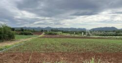 ขายที่เขาใหญ่ ที่ดินติดถนน 3052 เยื้องทอสคาน่า Toscana 10 ไร่ โป่งตาลอง ปากช่อง วิวเขาสวยมาก หน้ากว้างติดถนนใหญ่ 3052 แหล่งท่องเที่ยว ทำเลดี เหมาะทำธุรกิจ ค้าขาย 087-9074045