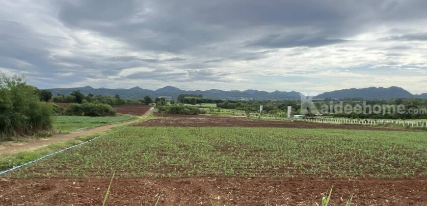 ขายที่เขาใหญ่ ที่ดินติดถนน 3052 เยื้องทอสคาน่า Toscana 10 ไร่ โป่งตาลอง ปากช่อง วิวเขาสวยมาก หน้ากว้างติดถนนใหญ่ 3052 แหล่งท่องเที่ยว ทำเลดี เหมาะทำธุรกิจ ค้าขาย 087-9074045