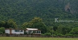 ขายที่ดินเขาใหญ่ 1 ไร่ ที่ดินใกล้เขา พญาเย็น ปากช่อง วิวเขาล้อมรอบสวยมาก เส้นกุดคล้าผ่านศึก ใกล้ธนะรัชต์ แหล่งท่องเที่ยว ร้านอาหารคาเฟ่ ไม่ลึก ไม่เปลี่ยว เหมาะทำบ้านพักตากอากาศ รีสอร์ท พูลวิลล่า 087-9074045