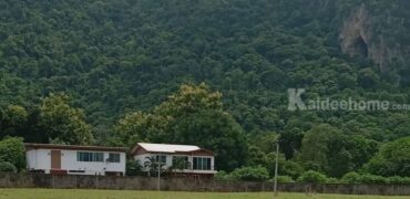 ขายที่ดินเขาใหญ่ 1 ไร่ ที่ดินใกล้เขา พญาเย็น ปากช่อง วิวเขาล้อมรอบสวยมาก เส้นกุดคล้าผ่านศึก ใกล้ธนะรัชต์ แหล่งท่องเที่ยว ร้านอาหารคาเฟ่ ไม่ลึก ไม่เปลี่ยว เหมาะทำบ้านพักตากอากาศ รีสอร์ท พูลวิลล่า 087-9074045