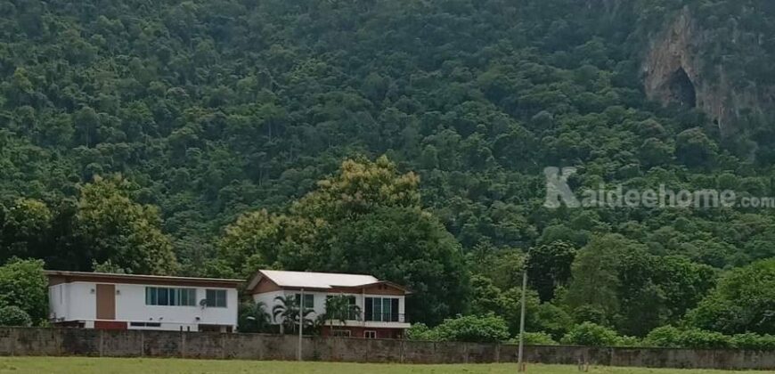 ขายที่ดินเขาใหญ่ 1 ไร่ ที่ดินใกล้เขา พญาเย็น ปากช่อง วิวเขาล้อมรอบสวยมาก เส้นกุดคล้าผ่านศึก ใกล้ธนะรัชต์ แหล่งท่องเที่ยว ร้านอาหารคาเฟ่ ไม่ลึก ไม่เปลี่ยว เหมาะทำบ้านพักตากอากาศ รีสอร์ท พูลวิลล่า 087-9074045