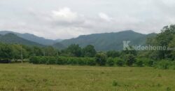 ขายที่ดินเขาใหญ่ 1 ไร่ ที่ดินใกล้เขา พญาเย็น ปากช่อง วิวเขาล้อมรอบสวยมาก เส้นกุดคล้าผ่านศึก ใกล้ธนะรัชต์ แหล่งท่องเที่ยว ร้านอาหารคาเฟ่ ไม่ลึก ไม่เปลี่ยว เหมาะทำบ้านพักตากอากาศ รีสอร์ท พูลวิลล่า 087-9074045