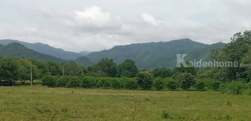 ขายที่ดินเขาใหญ่ 1 ไร่ ที่ดินใกล้เขา พญาเย็น ปากช่อง วิวเขาล้อมรอบสวยมาก เส้นกุดคล้าผ่านศึก ใกล้ธนะรัชต์ แหล่งท่องเที่ยว ร้านอาหารคาเฟ่ ไม่ลึก ไม่เปลี่ยว เหมาะทำบ้านพักตากอากาศ รีสอร์ท พูลวิลล่า 087-9074045