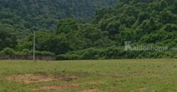 ขายที่ดินเขาใหญ่ 1 ไร่ ที่ดินใกล้เขา พญาเย็น ปากช่อง วิวเขาล้อมรอบสวยมาก เส้นกุดคล้าผ่านศึก ใกล้ธนะรัชต์ แหล่งท่องเที่ยว ร้านอาหารคาเฟ่ ไม่ลึก ไม่เปลี่ยว เหมาะทำบ้านพักตากอากาศ รีสอร์ท พูลวิลล่า 087-9074045