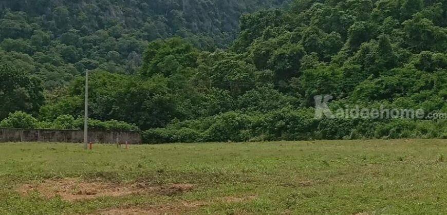 ขายที่ดินเขาใหญ่ 1 ไร่ ที่ดินใกล้เขา พญาเย็น ปากช่อง วิวเขาล้อมรอบสวยมาก เส้นกุดคล้าผ่านศึก ใกล้ธนะรัชต์ แหล่งท่องเที่ยว ร้านอาหารคาเฟ่ ไม่ลึก ไม่เปลี่ยว เหมาะทำบ้านพักตากอากาศ รีสอร์ท พูลวิลล่า 087-9074045