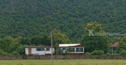 ขายที่ดินเขาใหญ่ 1 ไร่ ที่ดินใกล้เขา พญาเย็น ปากช่อง วิวเขาล้อมรอบสวยมาก เส้นกุดคล้าผ่านศึก ใกล้ธนะรัชต์ แหล่งท่องเที่ยว ร้านอาหารคาเฟ่ ไม่ลึก ไม่เปลี่ยว เหมาะทำบ้านพักตากอากาศ รีสอร์ท พูลวิลล่า 087-9074045