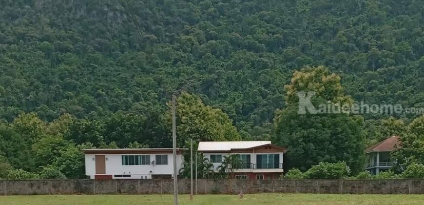 ขายที่ดินเขาใหญ่ 1 ไร่ ที่ดินใกล้เขา พญาเย็น ปากช่อง วิวเขาล้อมรอบสวยมาก เส้นกุดคล้าผ่านศึก ใกล้ธนะรัชต์ แหล่งท่องเที่ยว ร้านอาหารคาเฟ่ ไม่ลึก ไม่เปลี่ยว เหมาะทำบ้านพักตากอากาศ รีสอร์ท พูลวิลล่า 087-9074045