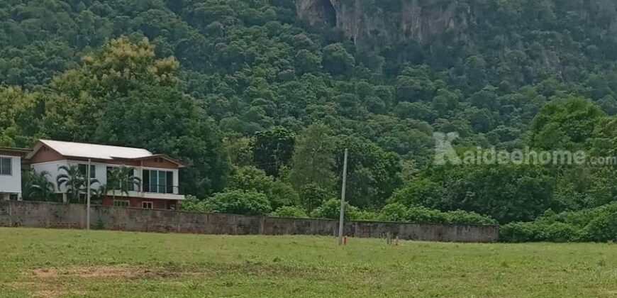 ขายที่ดินเขาใหญ่ 1 ไร่ ที่ดินใกล้เขา พญาเย็น ปากช่อง วิวเขาล้อมรอบสวยมาก เส้นกุดคล้าผ่านศึก ใกล้ธนะรัชต์ แหล่งท่องเที่ยว ร้านอาหารคาเฟ่ ไม่ลึก ไม่เปลี่ยว เหมาะทำบ้านพักตากอากาศ รีสอร์ท พูลวิลล่า 087-9074045