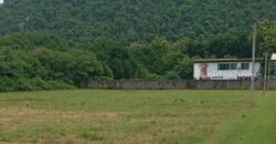 ขายที่ดินเขาใหญ่ 1 ไร่ ที่ดินใกล้เขา พญาเย็น ปากช่อง วิวเขาล้อมรอบสวยมาก เส้นกุดคล้าผ่านศึก ใกล้ธนะรัชต์ แหล่งท่องเที่ยว ร้านอาหารคาเฟ่ ไม่ลึก ไม่เปลี่ยว เหมาะทำบ้านพักตากอากาศ รีสอร์ท พูลวิลล่า 087-9074045