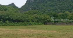 ขายที่ดินเขาใหญ่ 1 ไร่ ที่ดินใกล้เขา พญาเย็น ปากช่อง วิวเขาล้อมรอบสวยมาก เส้นกุดคล้าผ่านศึก ใกล้ธนะรัชต์ แหล่งท่องเที่ยว ร้านอาหารคาเฟ่ ไม่ลึก ไม่เปลี่ยว เหมาะทำบ้านพักตากอากาศ รีสอร์ท พูลวิลล่า 087-9074045