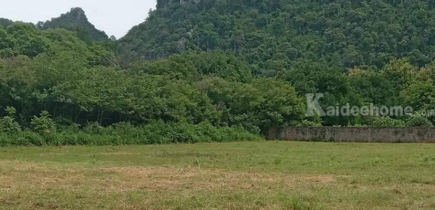 ขายที่ดินเขาใหญ่ 1 ไร่ ที่ดินใกล้เขา พญาเย็น ปากช่อง วิวเขาล้อมรอบสวยมาก เส้นกุดคล้าผ่านศึก ใกล้ธนะรัชต์ แหล่งท่องเที่ยว ร้านอาหารคาเฟ่ ไม่ลึก ไม่เปลี่ยว เหมาะทำบ้านพักตากอากาศ รีสอร์ท พูลวิลล่า 087-9074045