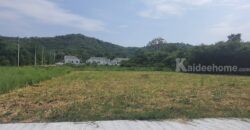 ขายที่วิวเขาใหญ่ 1 ไร่ หมูสี โป่งตาลอง สระน้ำใส ปากช่อง ที่สวยมาก วิวเขารอบด้าน ที่ลักษณะเชิงเนิน เทควิวเขาใหญ่สวยมาก เหมาะสร้างบ้านตากอากาศ พูลวิลล่า ใกล้ธนะรัชต์ ทอสคาน่า ขายถูก 087-9074045