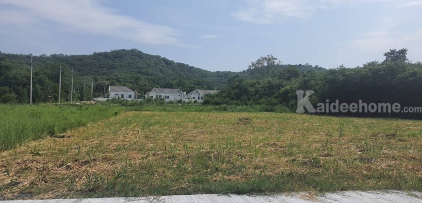 ขายที่วิวเขาใหญ่ 1 ไร่ หมูสี โป่งตาลอง สระน้ำใส ปากช่อง ที่สวยมาก วิวเขารอบด้าน ที่ลักษณะเชิงเนิน เทควิวเขาใหญ่สวยมาก เหมาะสร้างบ้านตากอากาศ พูลวิลล่า ใกล้ธนะรัชต์ ทอสคาน่า ขายถูก 087-9074045