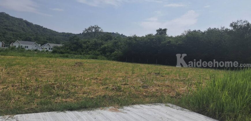 ขายที่วิวเขาใหญ่ 1 ไร่ หมูสี โป่งตาลอง สระน้ำใส ปากช่อง ที่สวยมาก วิวเขารอบด้าน ที่ลักษณะเชิงเนิน เทควิวเขาใหญ่สวยมาก เหมาะสร้างบ้านตากอากาศ พูลวิลล่า ใกล้ธนะรัชต์ ทอสคาน่า ขายถูก 087-9074045